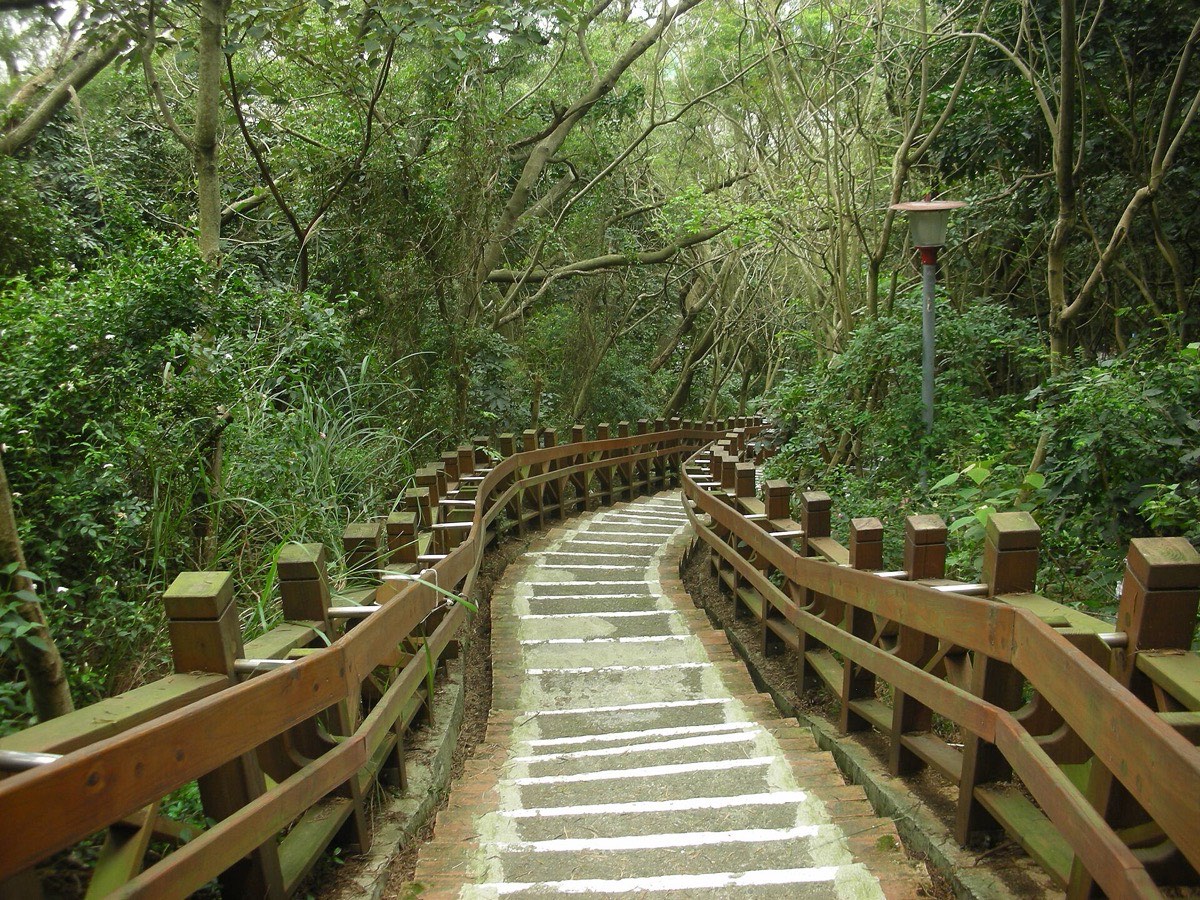 十八尖山林蔭步道